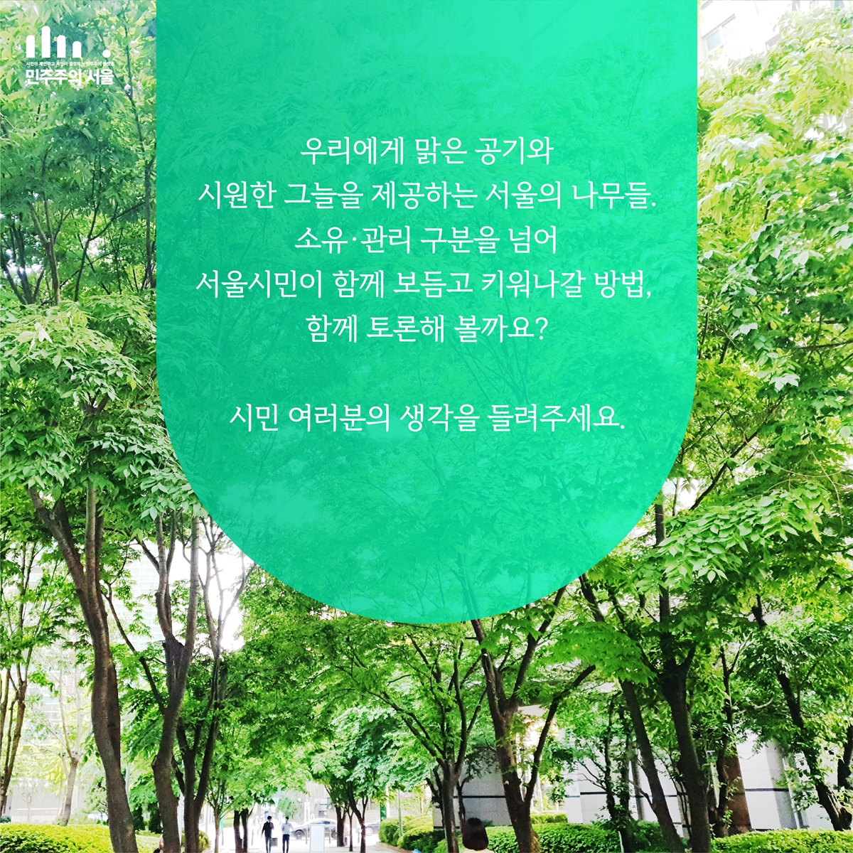 우리에게 맑은 공기와 시원한 그늘을 제공하는 서울의 나무들. 소유·관리 구분을 넘어 서울시민이 함께 보듬고 키워나갈 방법, 함께 토론해 볼까요? 시민 여러분의 생각을 들려주세요.