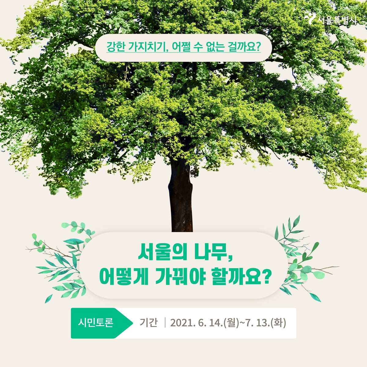 강한 가지치기, 어쩔 수 없는 걸까요? 서울의 나무, 어떻게 가꿔야 할까요 시민토론 기간|2021.6.14(월)~7.13(화)