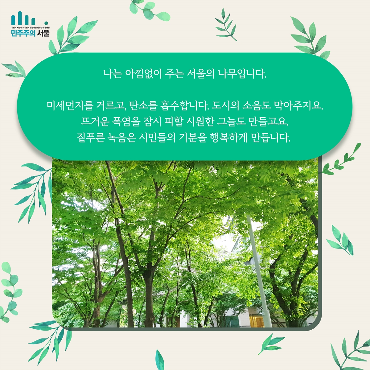 나는 아낌없이 주는 서울의 나무입니다. 미세먼지 거르고, 탄소를 흡수합니다. 도시의 소음도 막아주지요. 뜨거운 폭염을 잠시 피할 시원한 그늘도 만들고요. 짙푸른 녹음은 시민들의 기분을 행복하게 만듭니다.